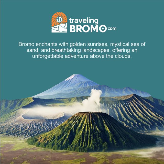 Itinerary Lengkap Trip Bromo 1 Hari: Sunrise, Kawah, dan Bukit Teletubbies
